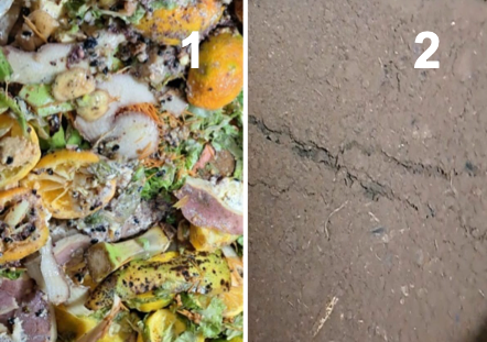 Comparación residuo fresco vs precompost terminado